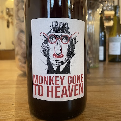Julien Pineau Monkey gone to heaven 2024 モンキー・ゴーン・トゥ・ヘヴン